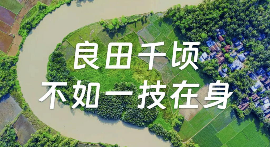第10课：【质量】如何写出一篇好文章？4种写作技巧，教你写出爆款文章！