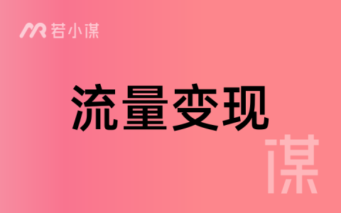 若小谋初级VIP：《10 分钟出片——AI 混剪短视频流量变现》